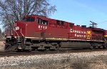 CP 8115
